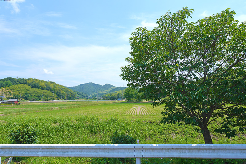 外の風景